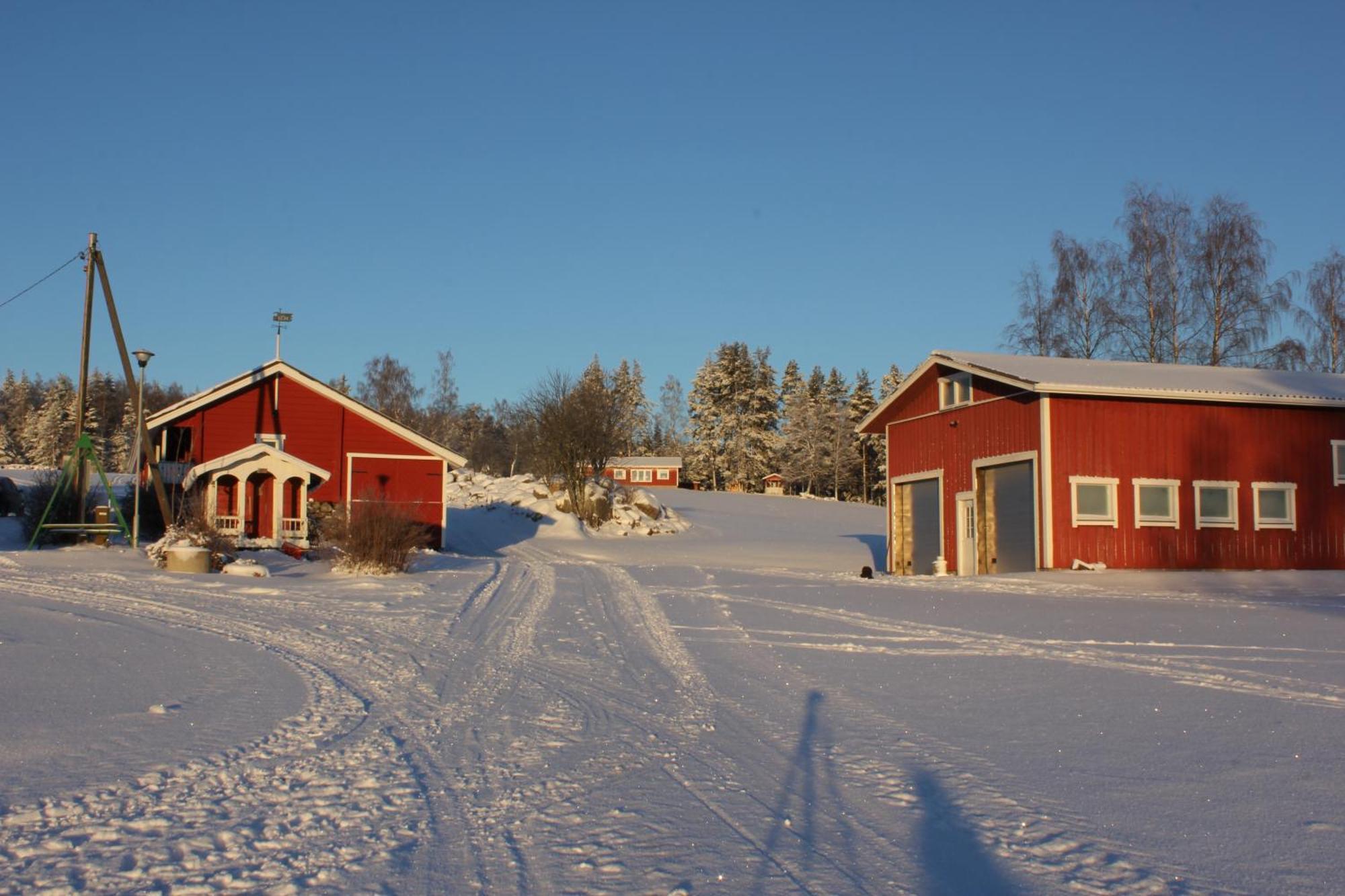 Maatilamatkailu Jaenisvaara Koli  Room photo