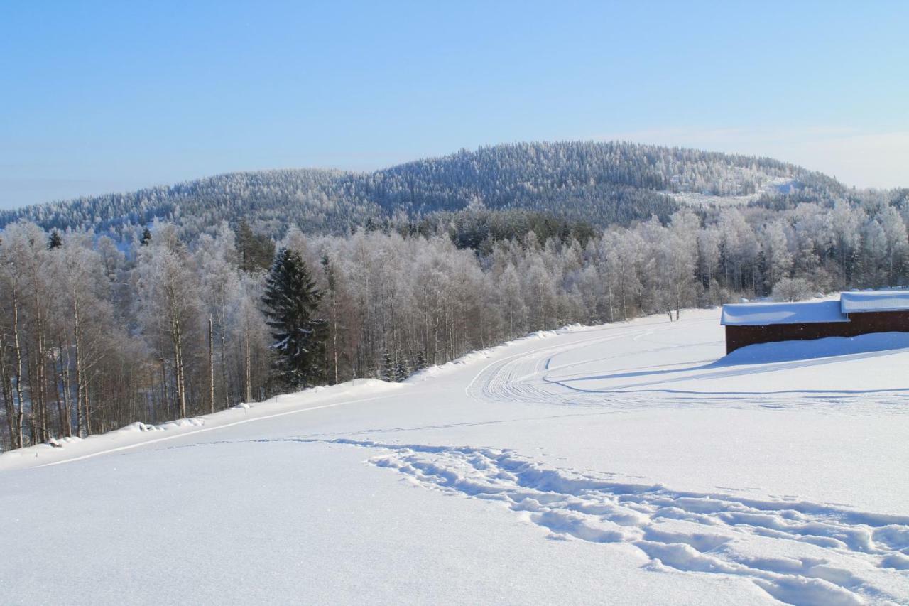 Maatilamatkailu Jaenisvaara Koli  Exterior photo