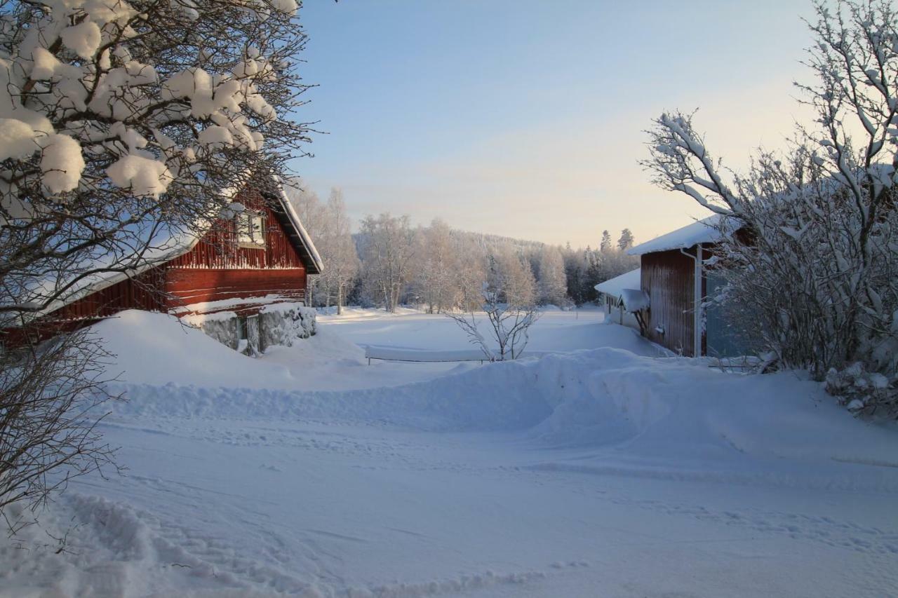 Maatilamatkailu Jaenisvaara Koli  Exterior photo